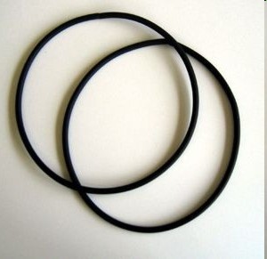 Nasa Instrument O-rings